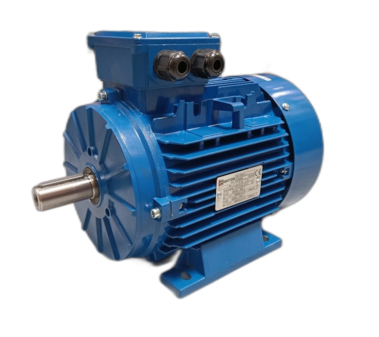Silnik dwubiegowy 1,25/06 kW 1400/700 obr MSD 100L1-4/8