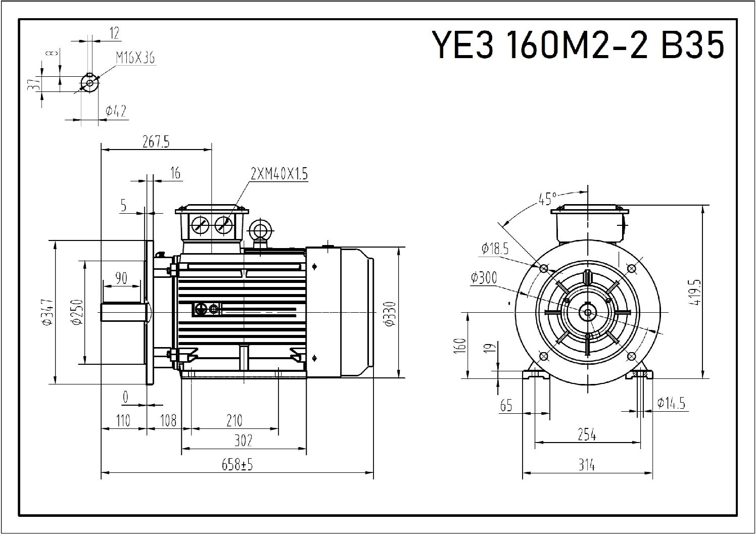 Silnik trójfazowy 15 kW 2940 YE3 160M2-2 IE3 - obrazek 3